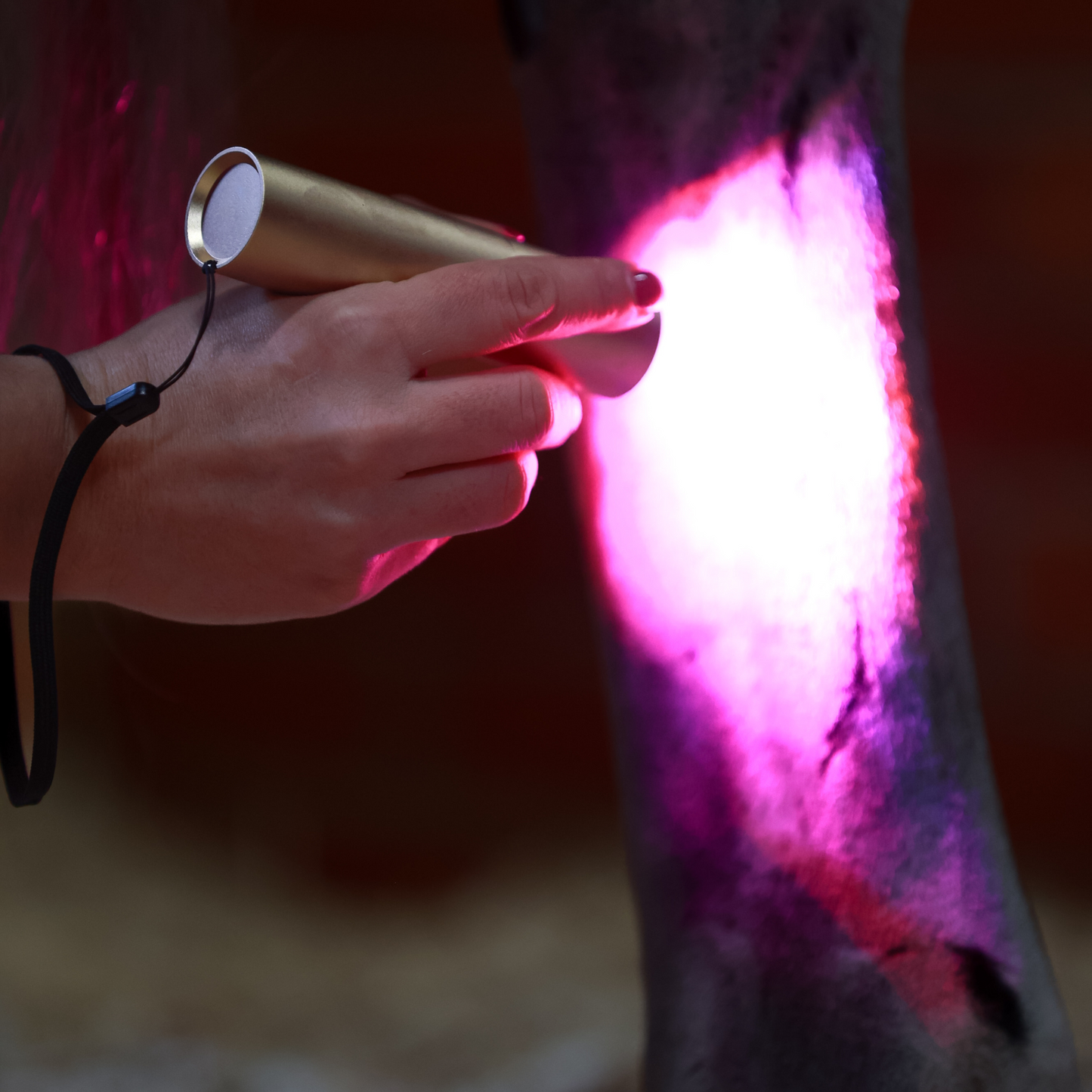 ProLight Therapy Pen