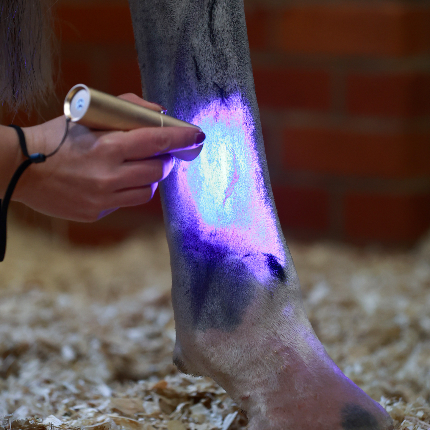 ProLight Therapy Pen