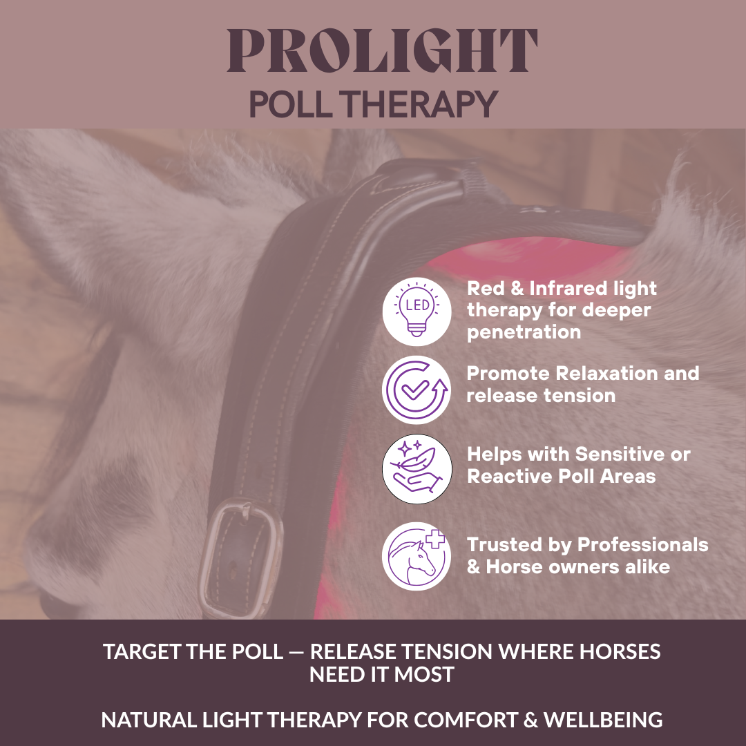 Prolight Poll Therapy