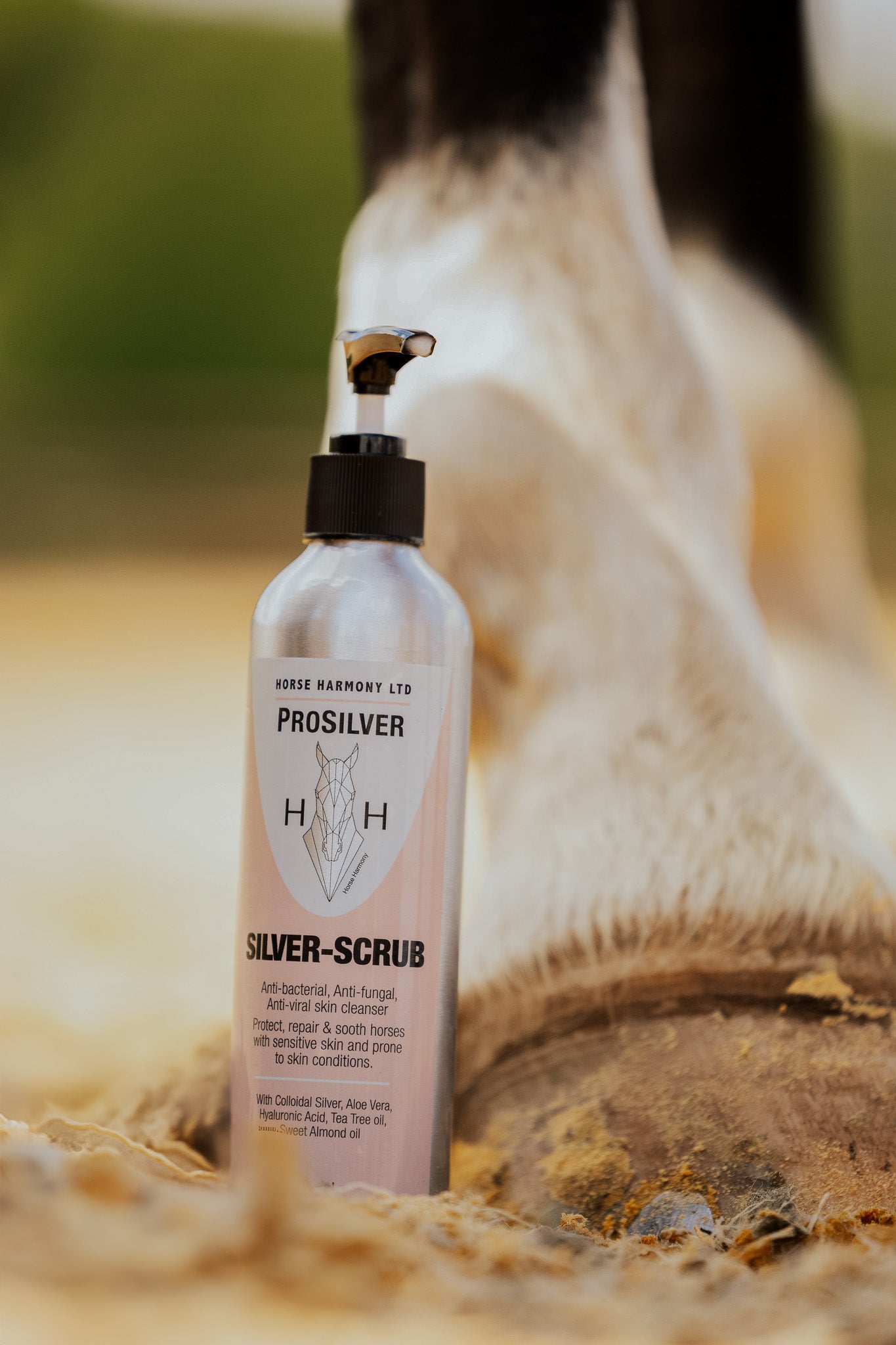Silver Scrub