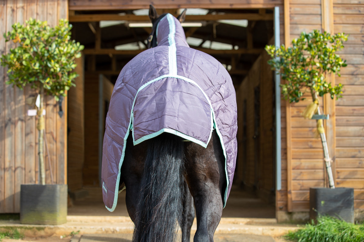 200g Mediumweight Stable Combo rug with Neck