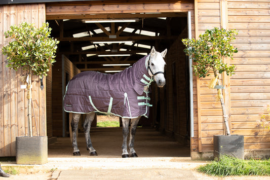 Grey horse wearing our heavy weight stable combo rug with neck coverage