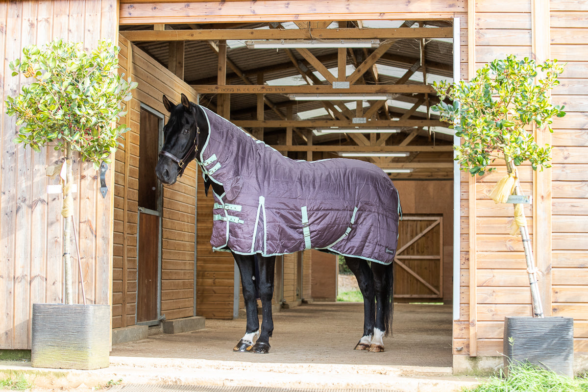 200g Mediumweight Stable Combo rug with Neck