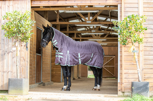 Black horse wearing our medium weight stable combo rug with neck coverage