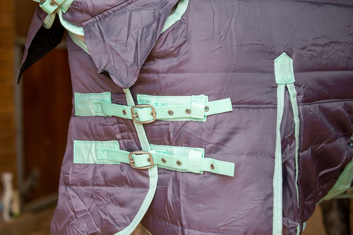 300g Heavyweight Stable Combo rug with Neck