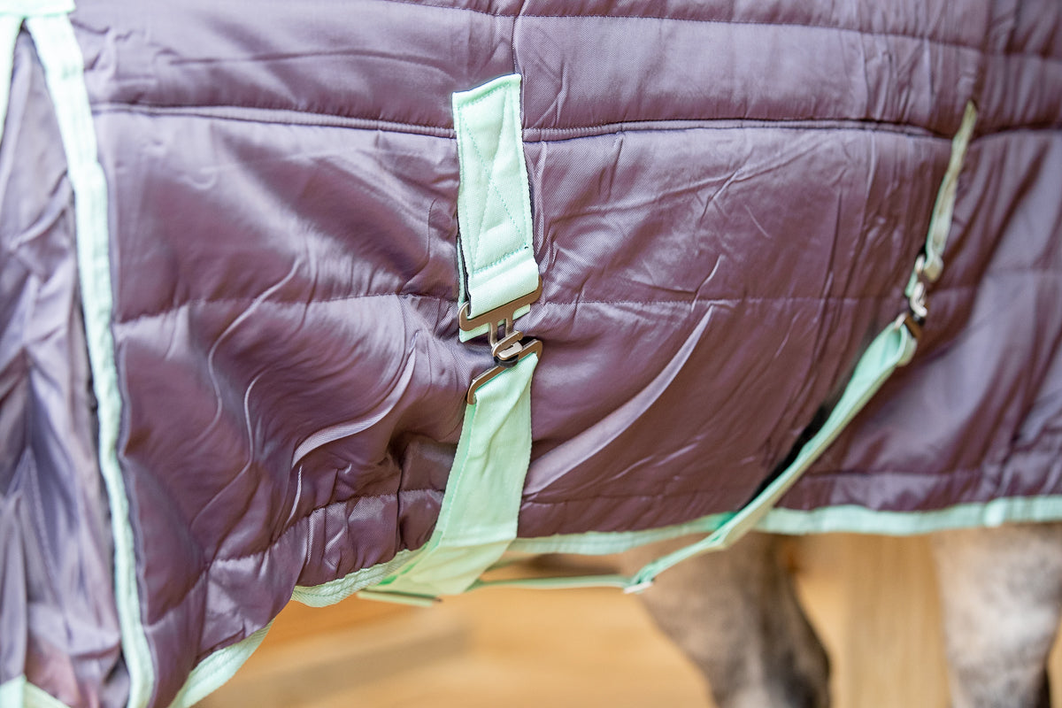 300g Heavyweight Stable Combo rug with Neck