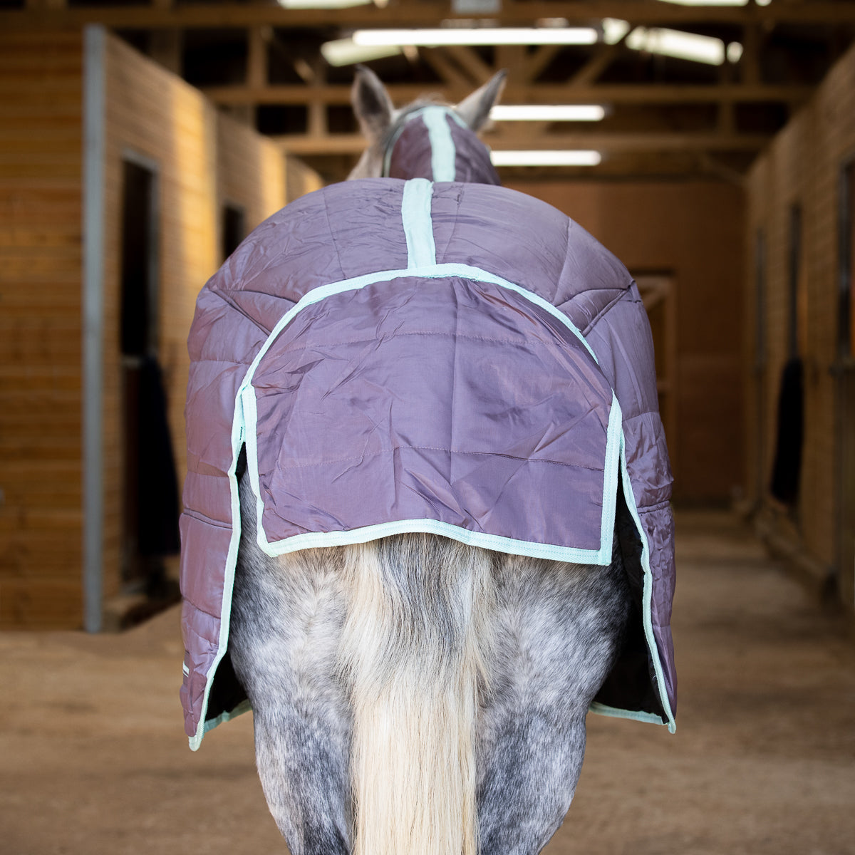 300g Heavyweight Stable Combo rug with Neck