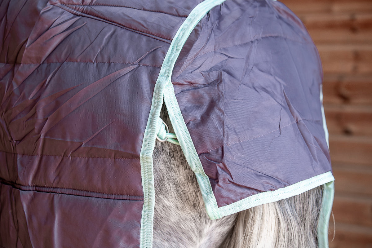 300g Heavyweight Stable Combo rug with Neck