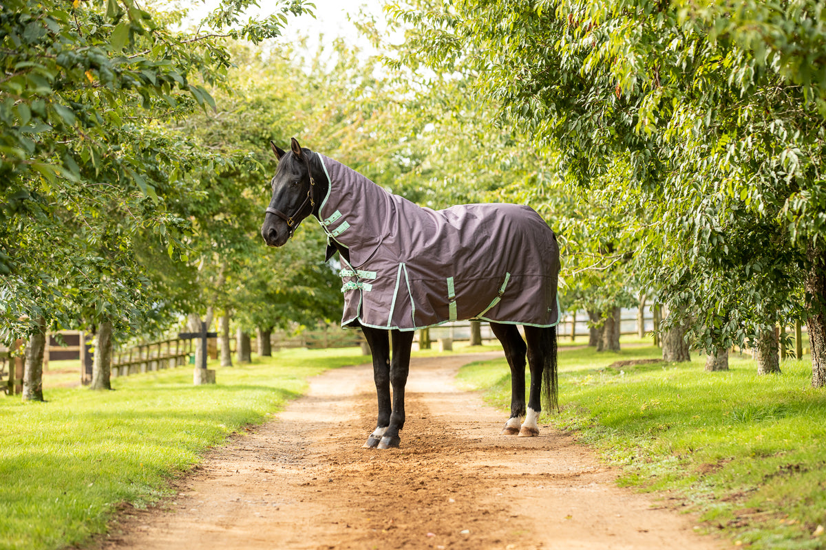 100g Lightweight Turnout Combo rug with Neck