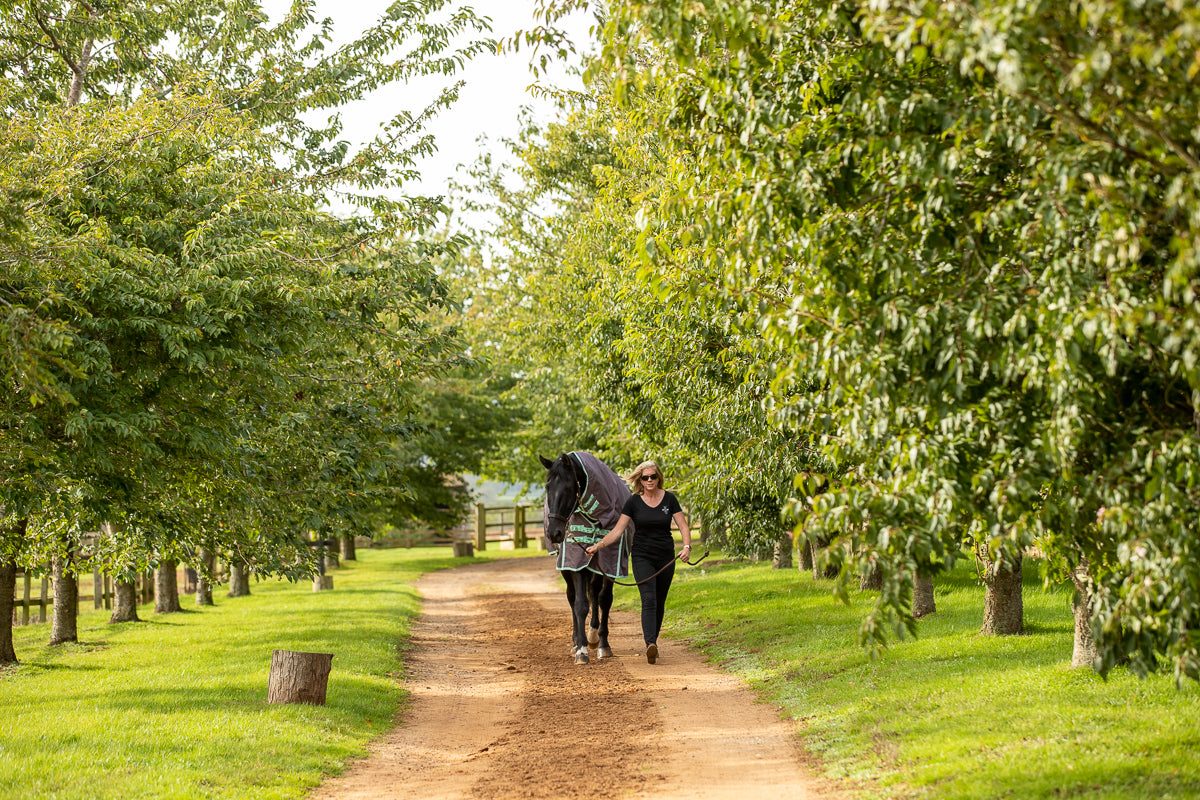 100g Lightweight Turnout Combo rug with Neck