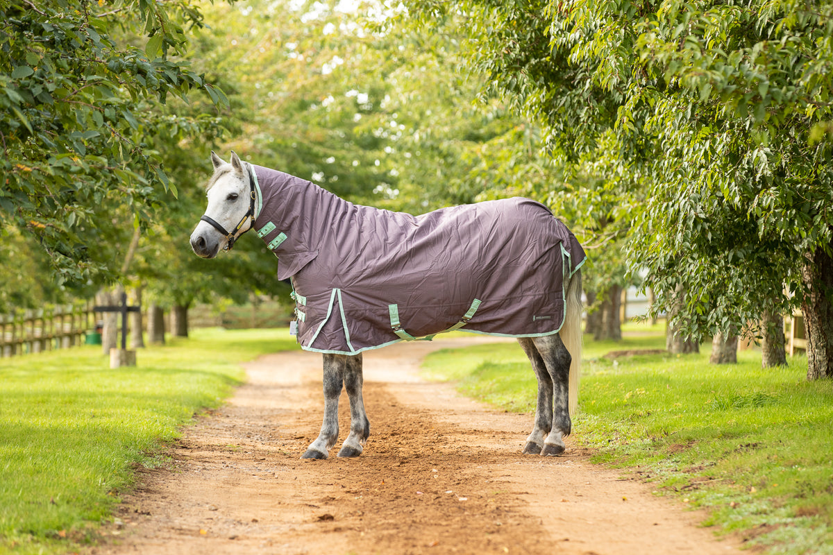 350g Heavyweight Turnout Combo rug with Neck