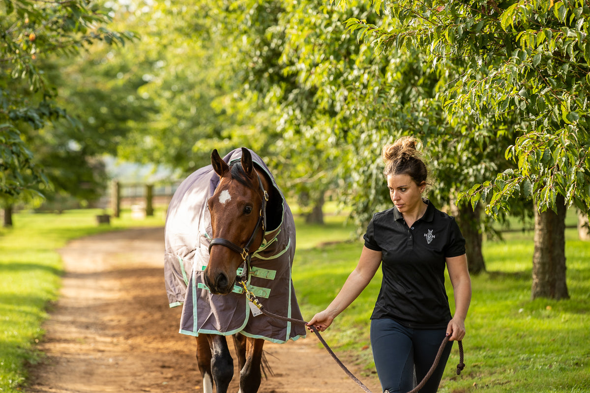 200g Mediumweight Turnout rug with Detachable Neck