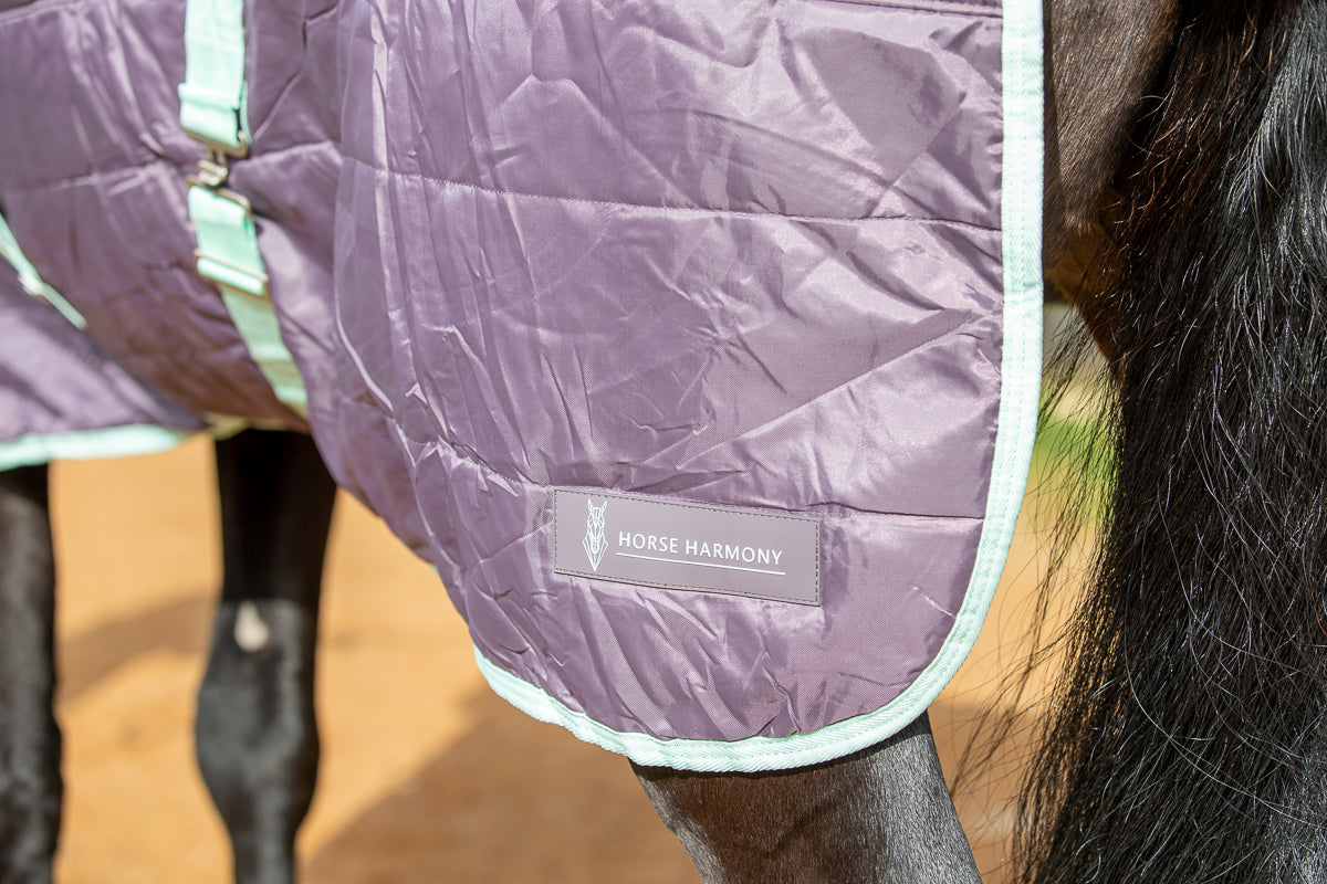 200g Mediumweight Stable Combo rug with Neck