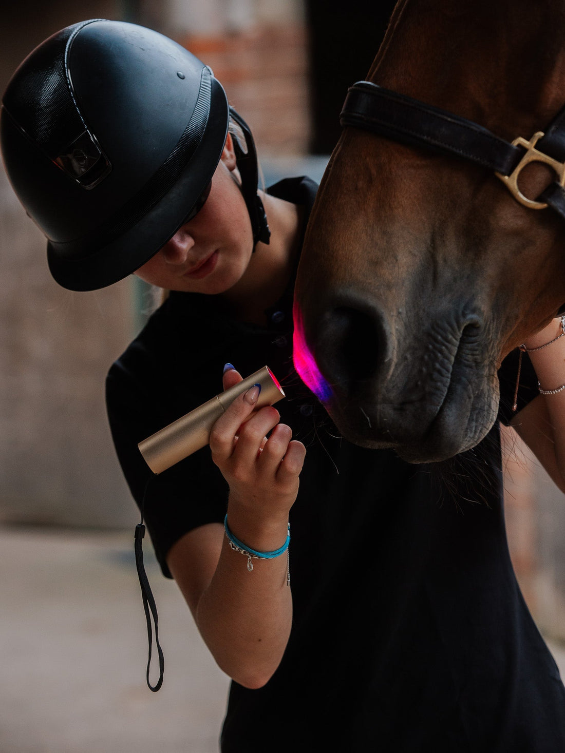 Introducing Equine Light Therapy: Supporting Horses Naturally