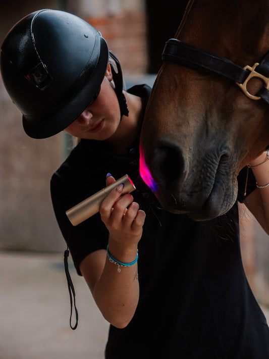 Introducing Equine Light Therapy: Supporting Horses Naturally
