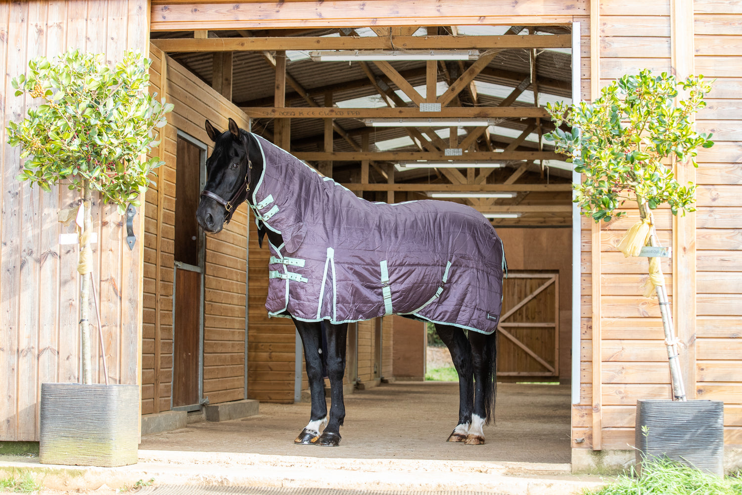 Stable Rugs