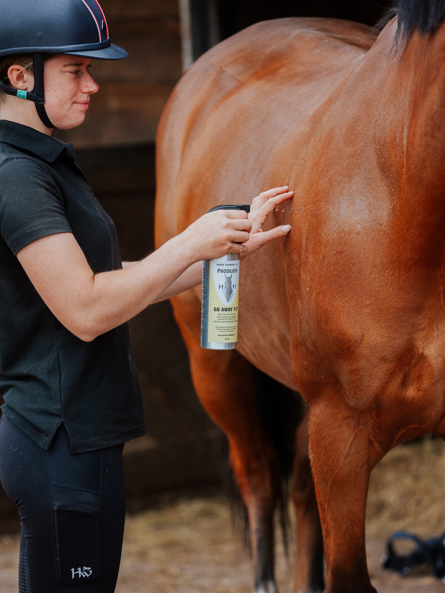 Person applying our Go Away Fly spray to a horse before turning out in the field