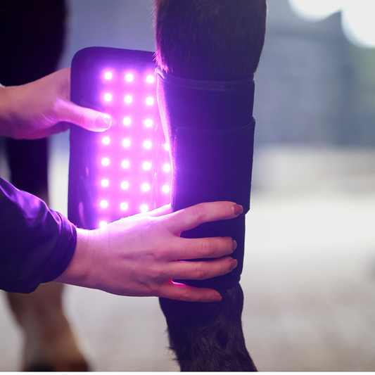 ProLight Therapy Pad