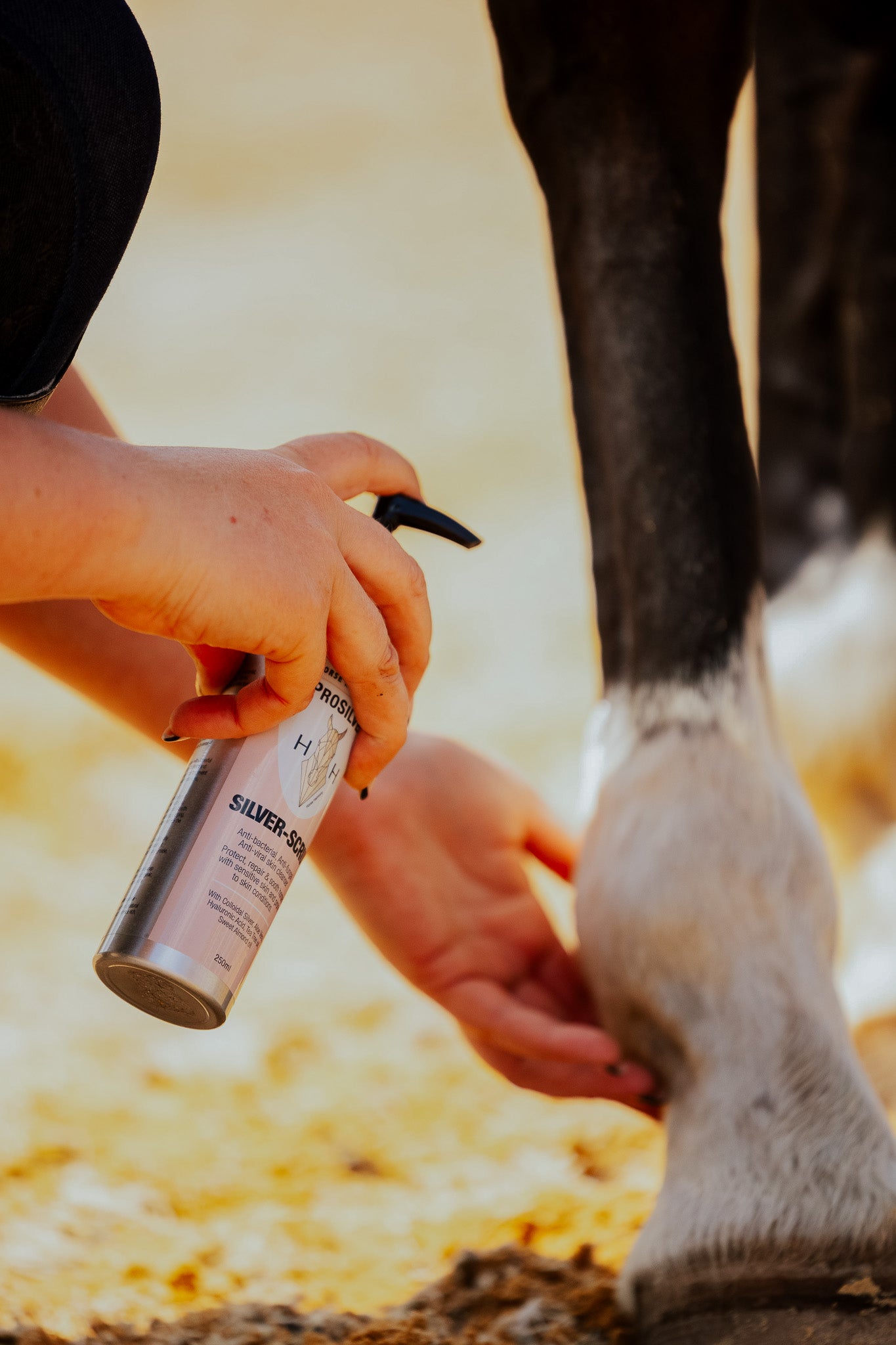 Person applying a Silver Scrub to a horse's leg to help with skin condition such as mud fever