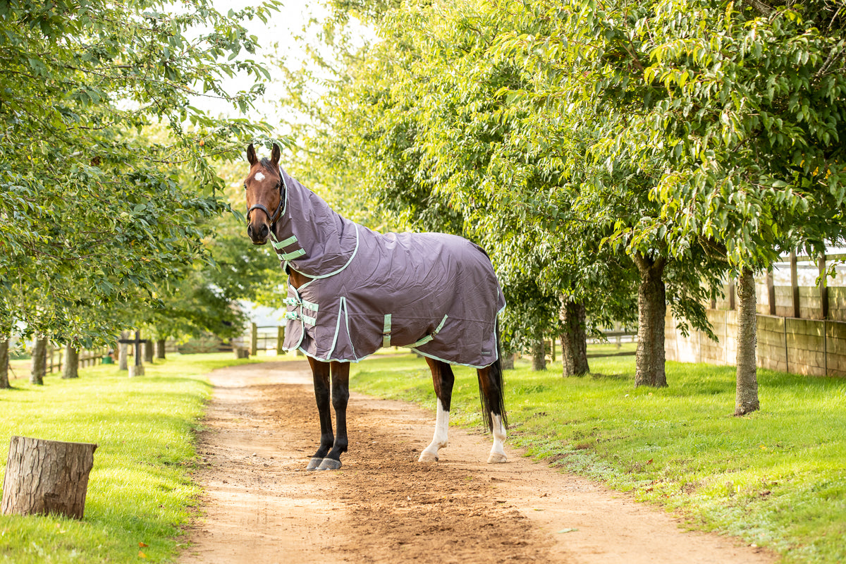 200g Mediumweight Turnout rug with Detachable Neck