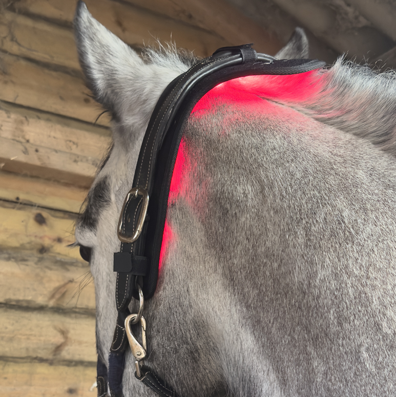 Prolight Poll Therapy