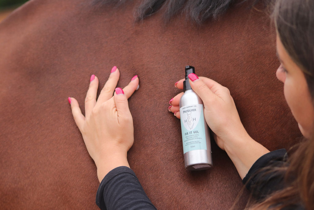 Person applying Fix It Gel on a grazed patch on horse's shoulder
