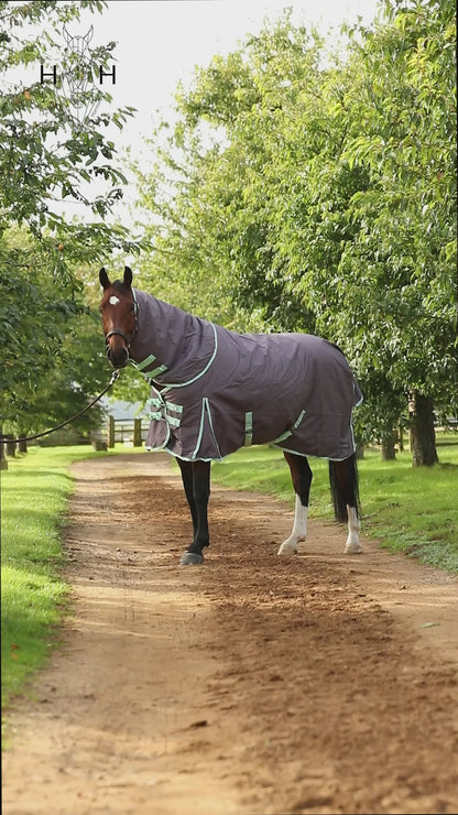 200g Mediumweight Turnout rug with Detachable Neck